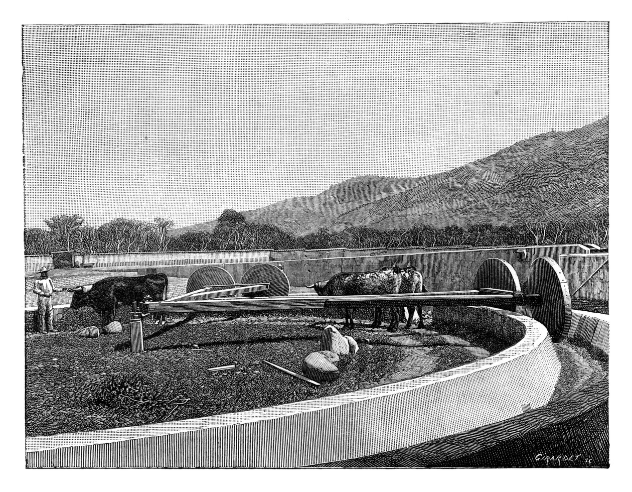 Malom kávé hántolására, Közép-Amerika, c1890 alkotó: Unbekannt