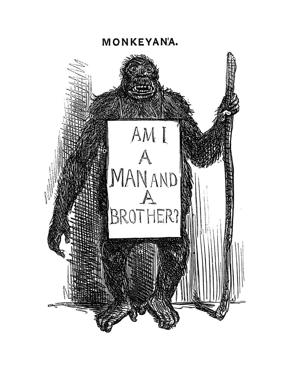Monkeyana: Férfi vagyok és testvér, 1861 alkotó: Unbekannt