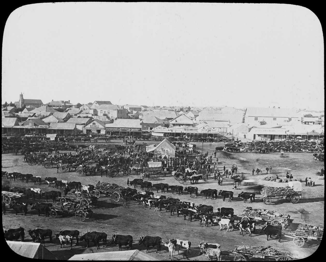 Reggeli piac, Kimberley, Dél-Afrika, 1890 alkotó: Unbekannt