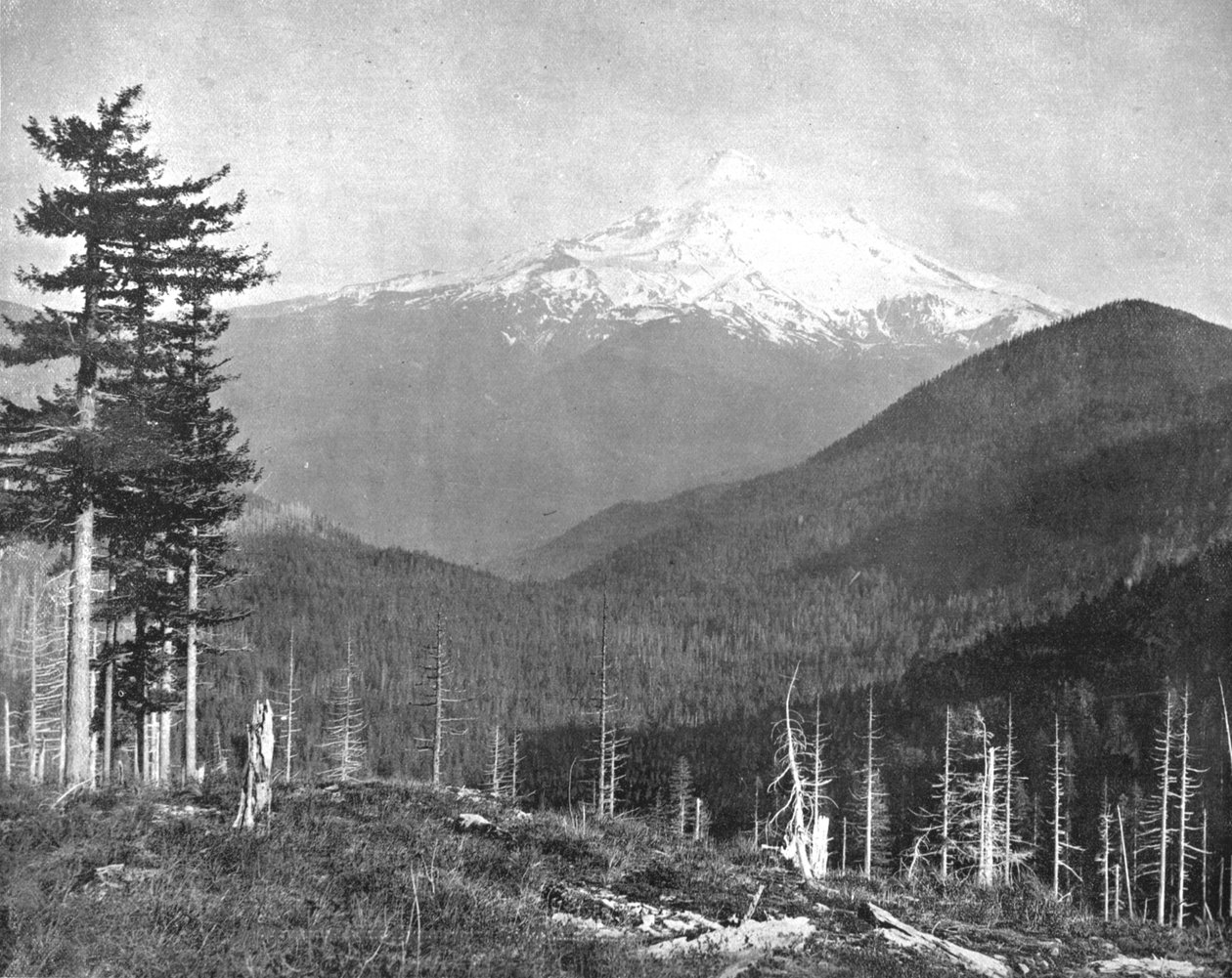 Mount Hood, Oregon, USA, 1900. alkotó: Unbekannt