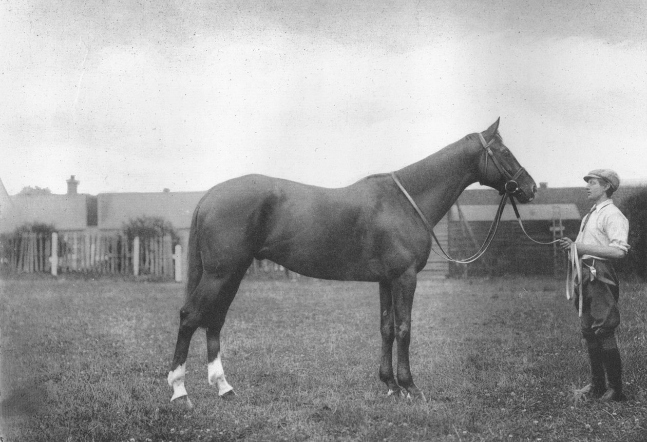 Mount Prospects Fortune, 1911 alkotó: Unbekannt