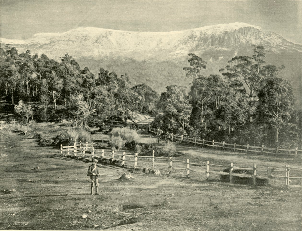 Mount Wellington, a Huon Road felől, 1901. alkotó: Unbekannt