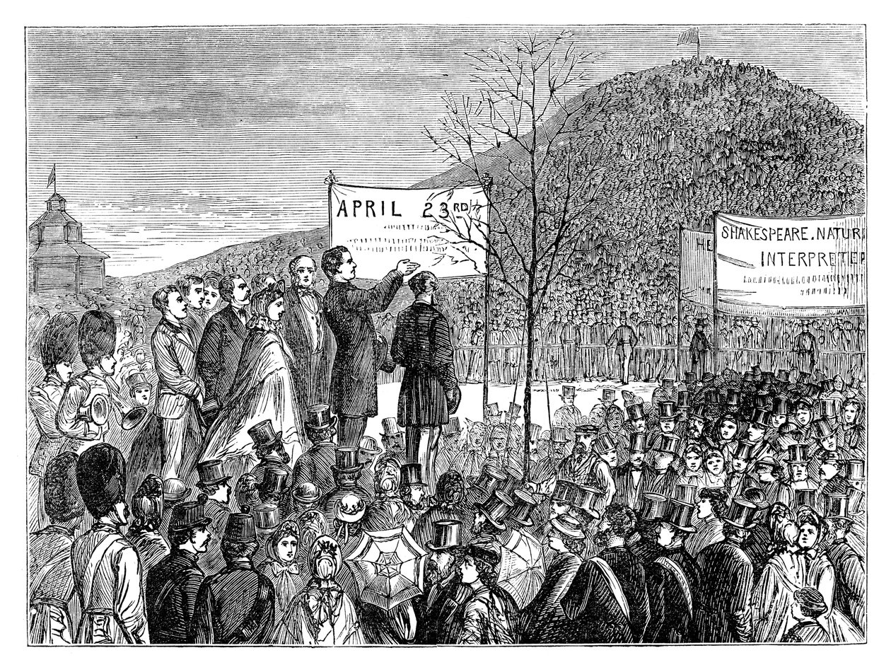 Phelps úr Shakespeares tölgyet ültet a Primrose Hillben, Londonban, 1864, 19. század vége alkotó: Unbekannt