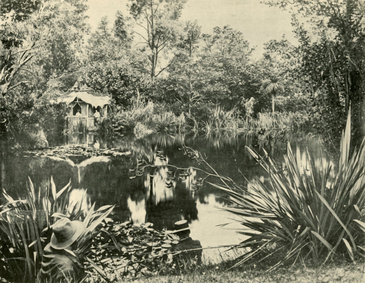Mr. Ryans Gardens, Mount Macedon, Victoria, 1901. alkotó: Unbekannt