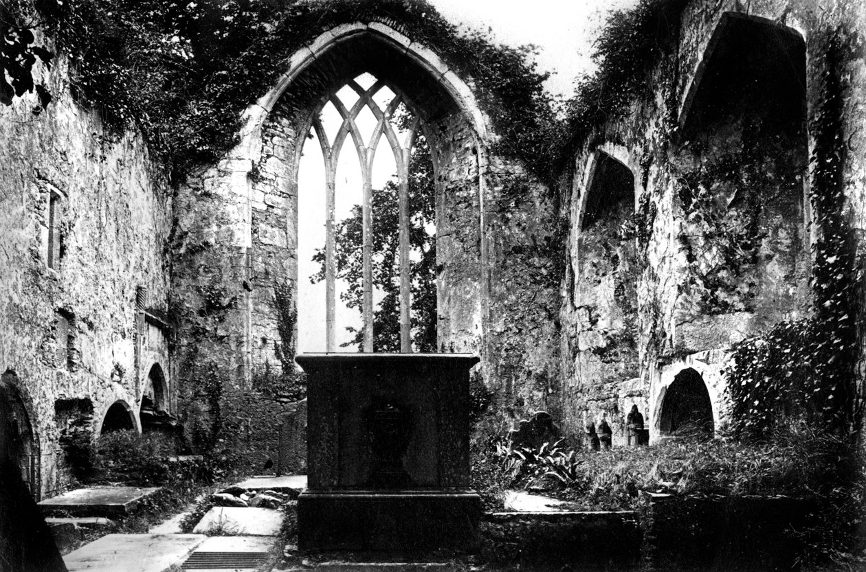 Muckross Abbey, Killarney, 1882 alkotó: Unbekannt