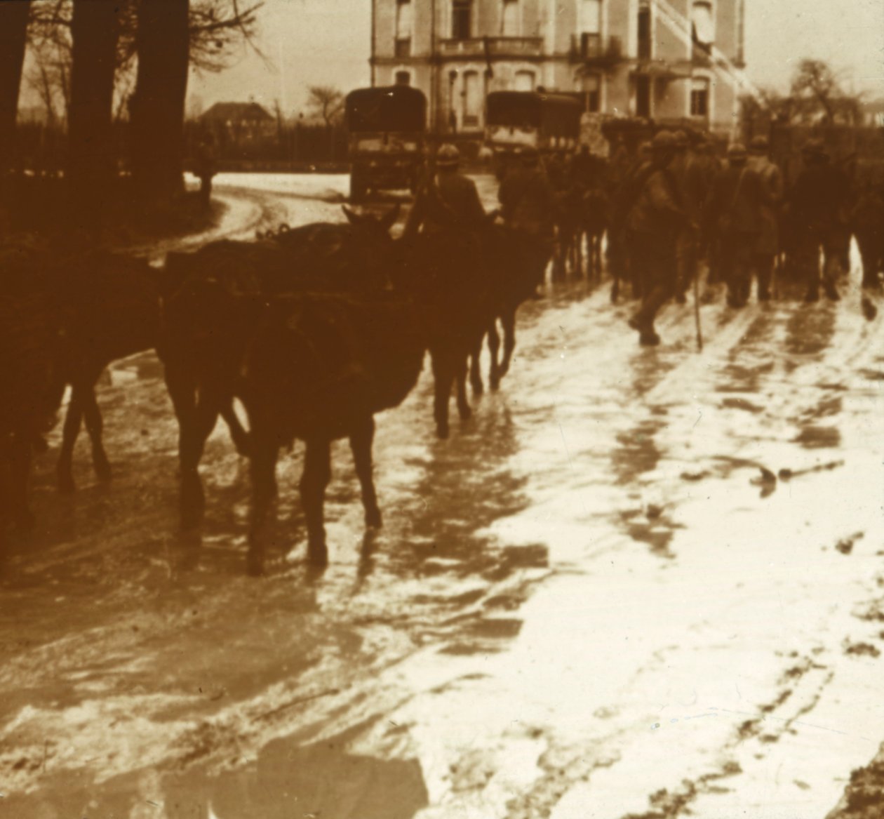 Öszvérvonat kellékekkel, Verdun, Észak-Franciaország, c1914-c1918 alkotó: Unbekannt