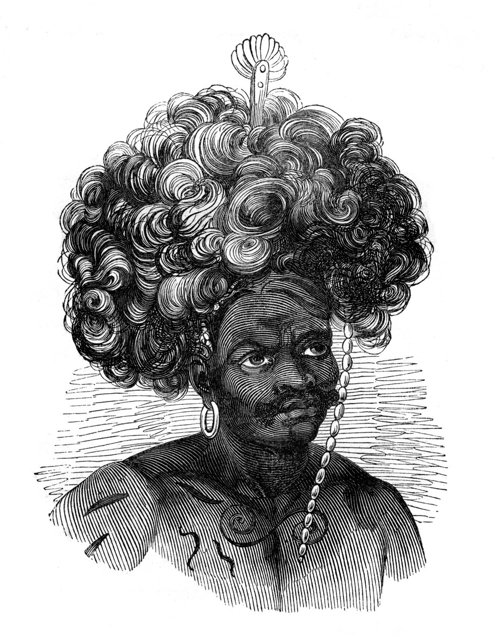 A Pápua-szigeteken őshonos, 1848 alkotó: Unbekannt