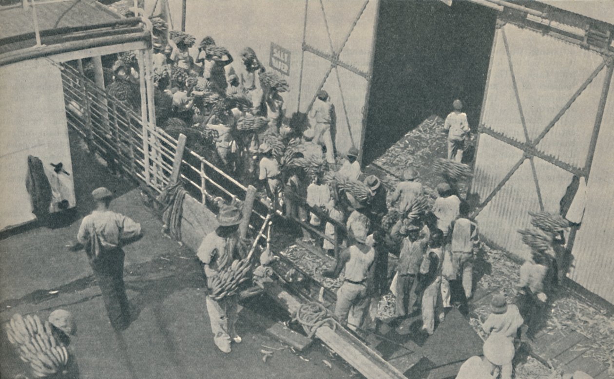 Banánt rakodó bennszülöttek a jamaicai Kingstonban, skót zsoltárokat énekelnek, 1937 alkotó: Unbekannt