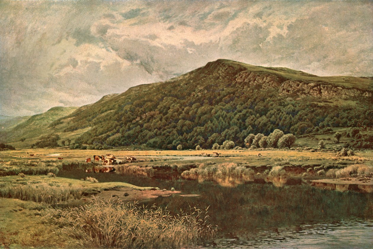 Natures Mirror, 1882, c1902. alkotó: Unbekannt