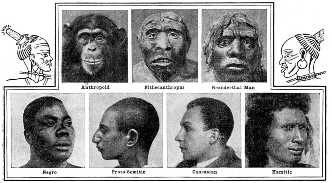 A Natures evolúciós tervei az orrokban, 1922 alkotó: Unbekannt