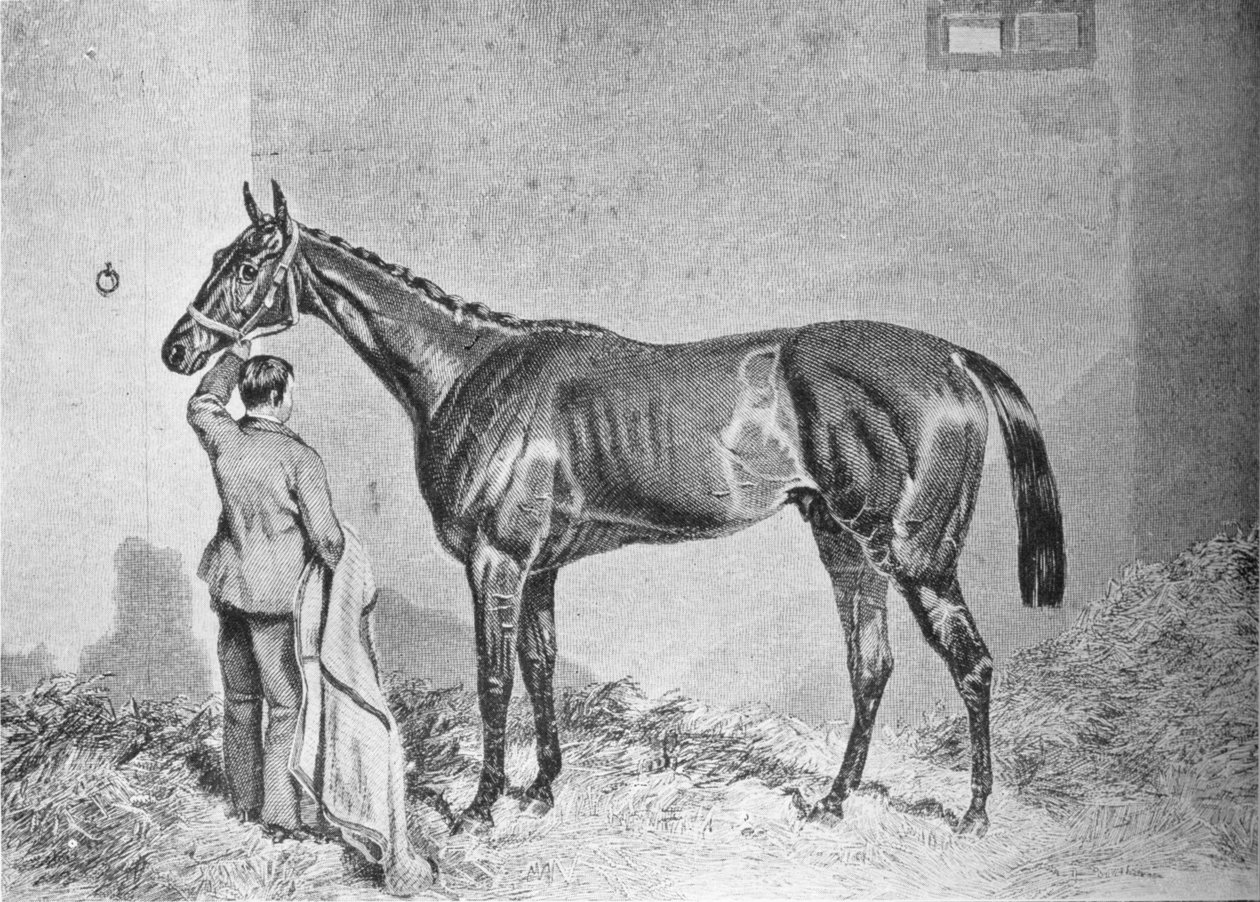 Newminster, 1848-1868, 1911 alkotó: Unbekannt