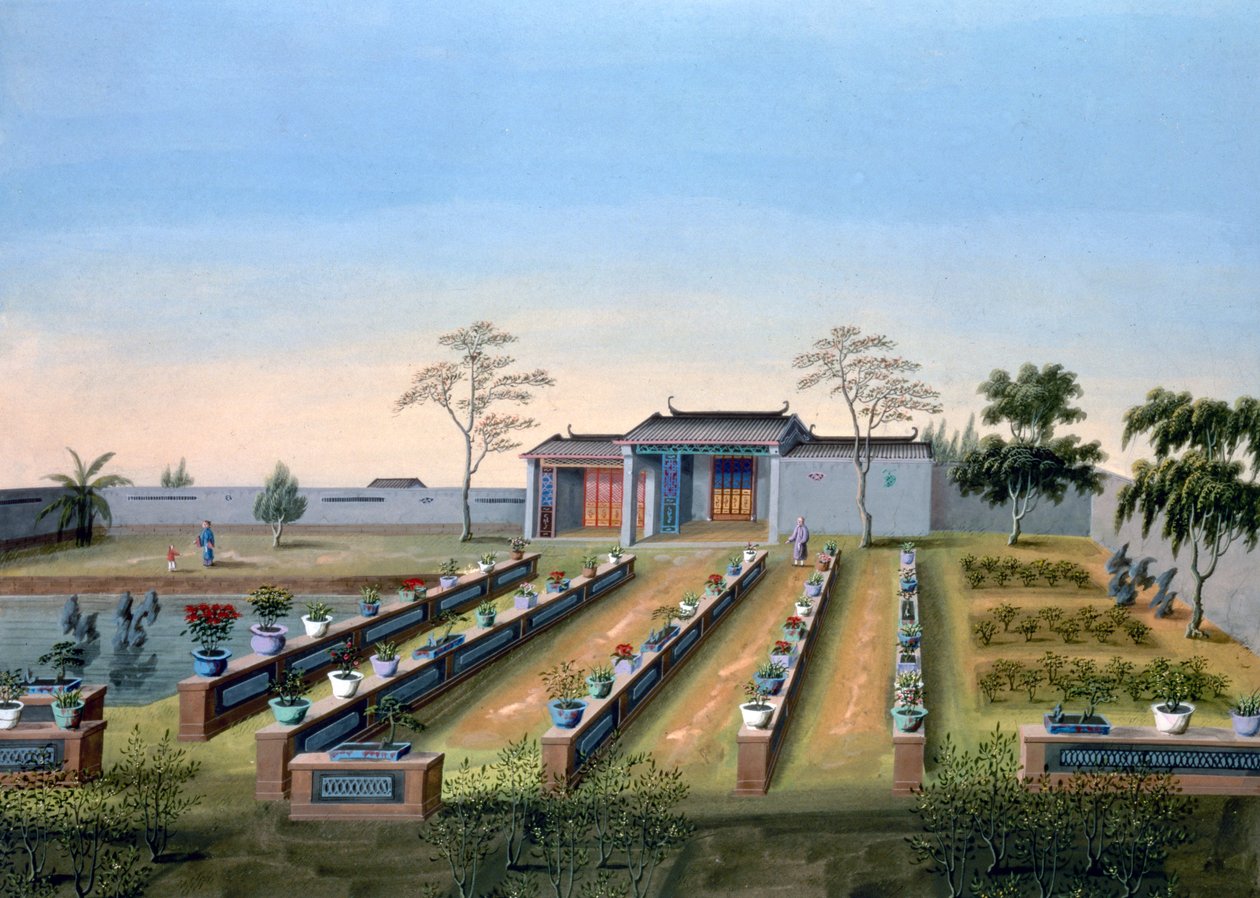 Óvoda, Kína, 1820-1840 alkotó: Unbekannt