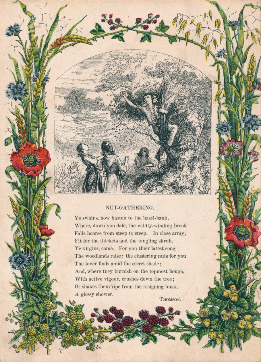 Nut-Gathering, Thomson, c1900 alkotó: Unbekannt