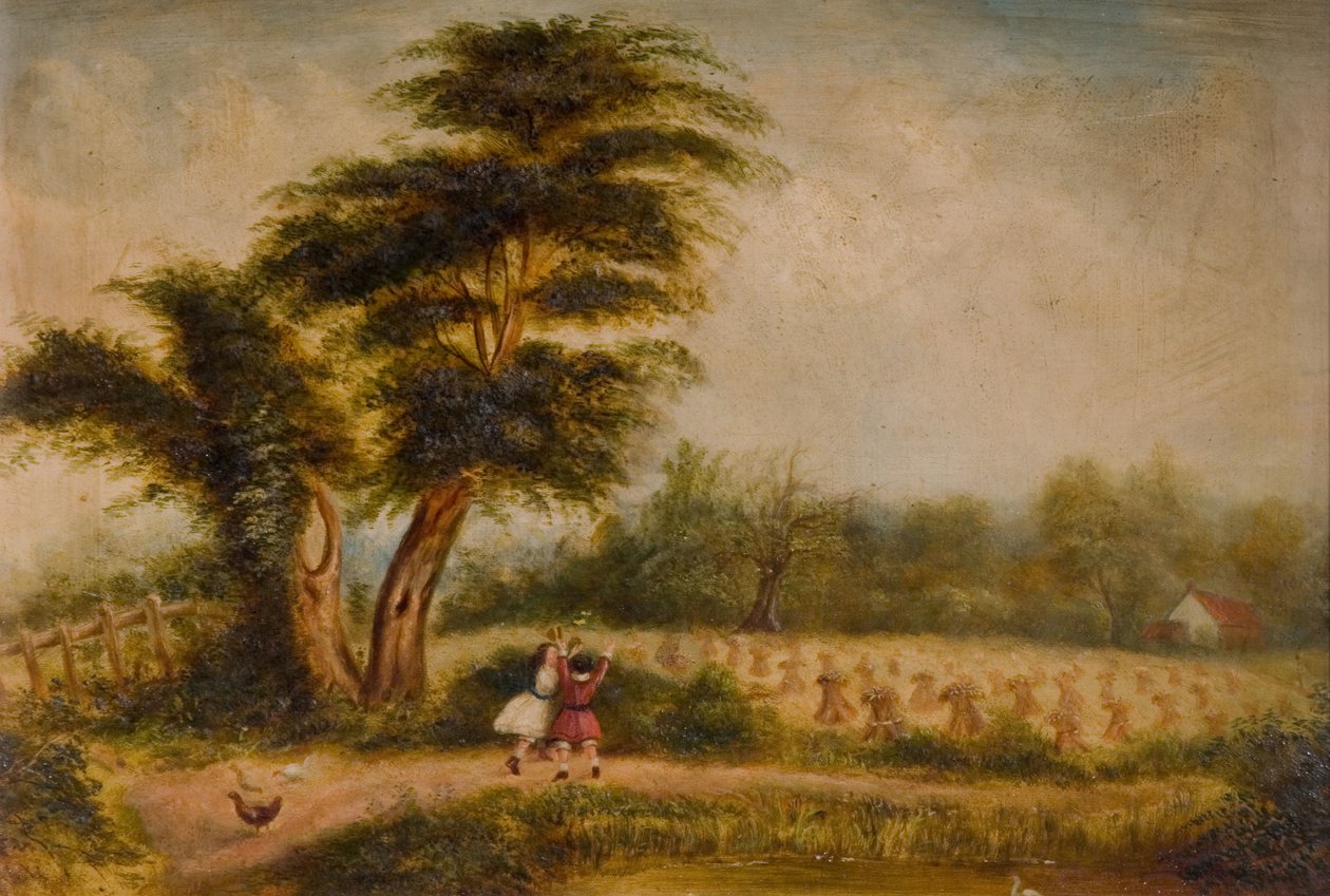 Öreg fa az Alum Rocknál, 1840-1860. Alum Rock, Birmingham. alkotó: Unbekannt