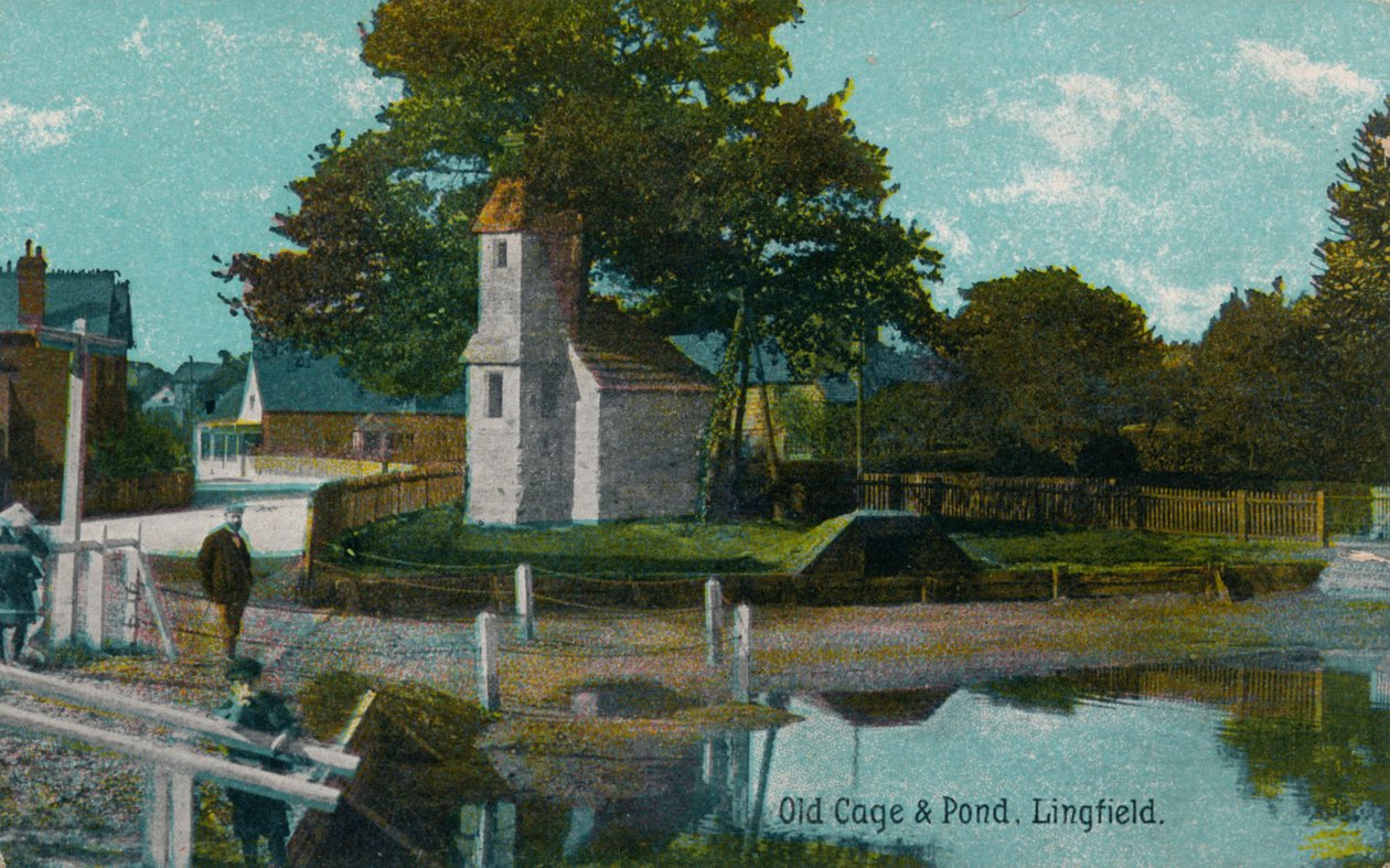 Régi ketrec és tavacska, Lingfield, Surrey, c1905 alkotó: Unbekannt