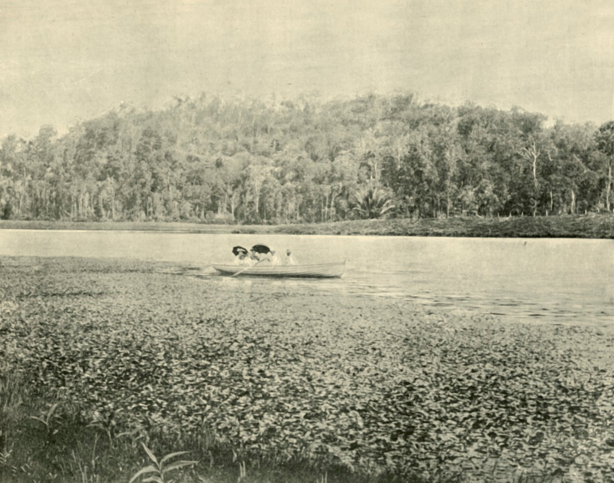 Az Enoggera tavon, 1901. alkotó: Unbekannt