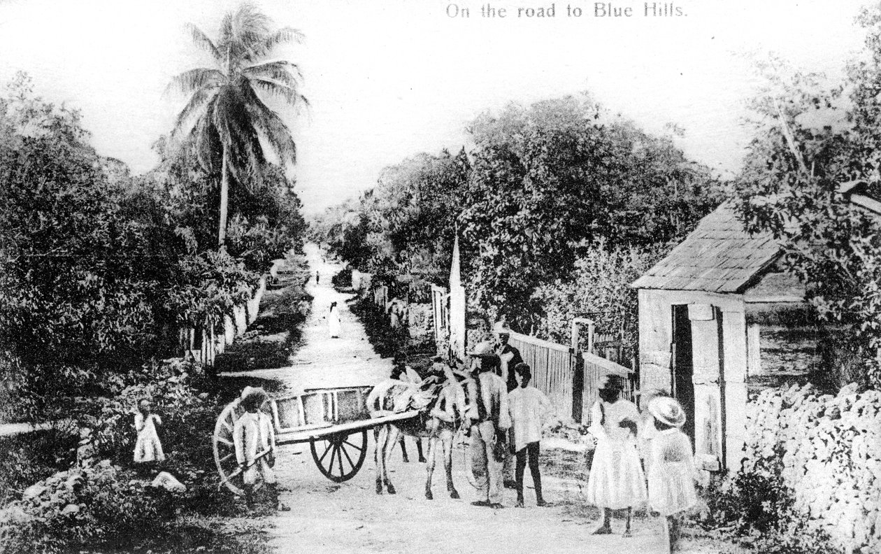 Az 1900-as évek Blue Hills felé vezető úton, Bahamákon alkotó: Unbekannt