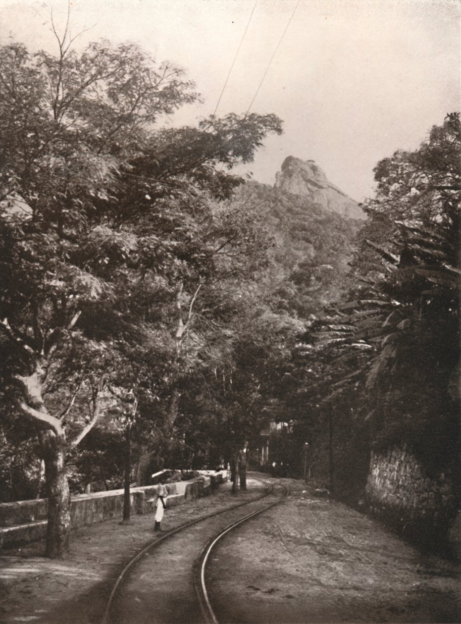 Útban Corcorado felé, 1914 alkotó: Unbekannt