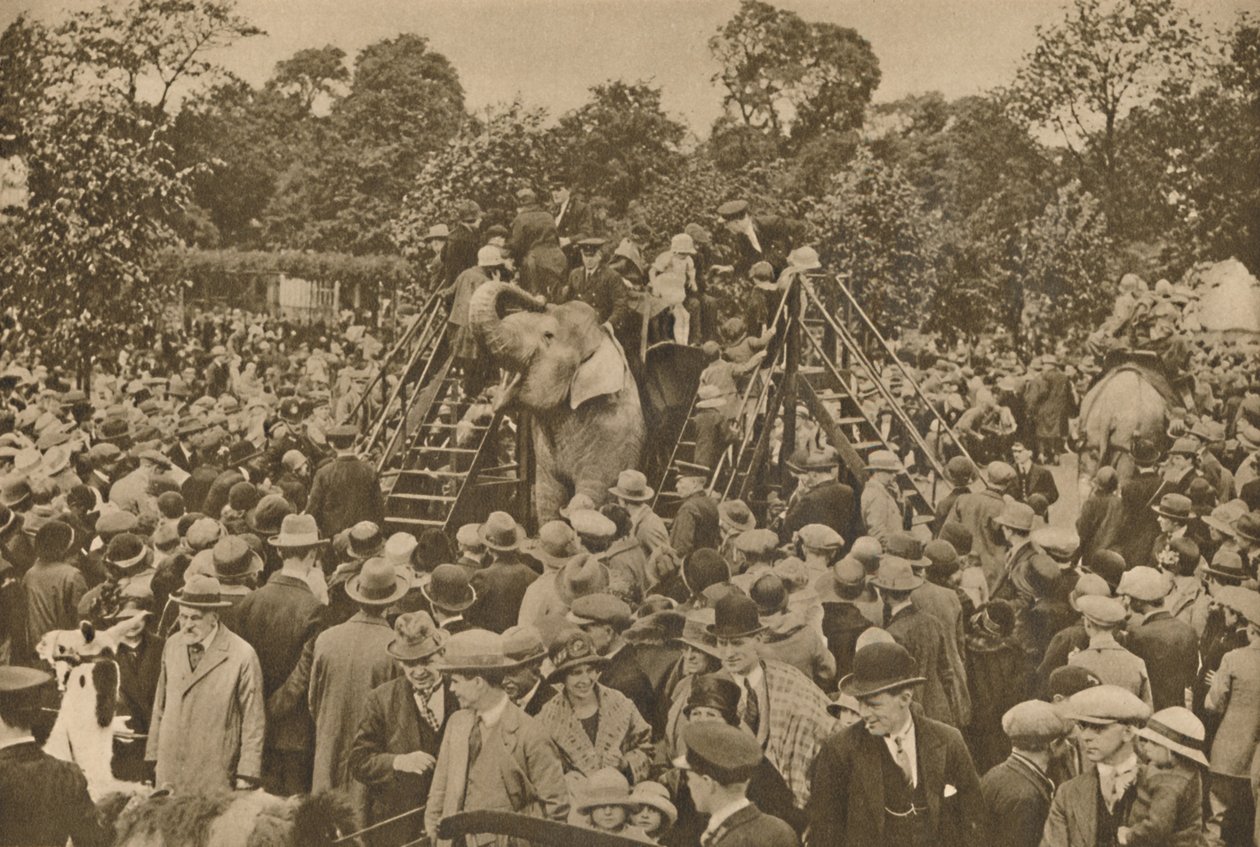 Civilizációnk egyik jele: jól felszerelt állatkertek a kíváncsiskodók örömére, c193 alkotó: Unbekannt