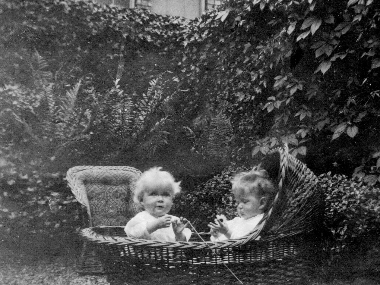 Egy éves, 1915 alkotó: Unbekannt