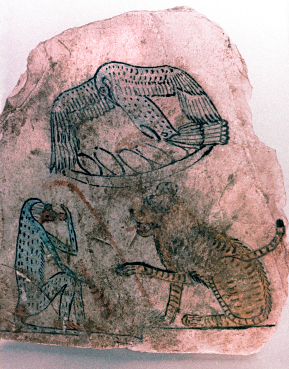 Ostracon töredék, gepárd, madár és majom, Egyiptom alkotó: Unbekannt
