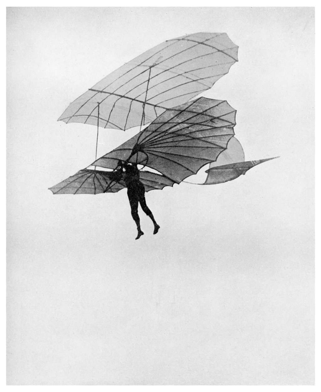Otto Lilienthal az egyik utolsó repülését végzi, 1896 1956 alkotó: Unbekannt