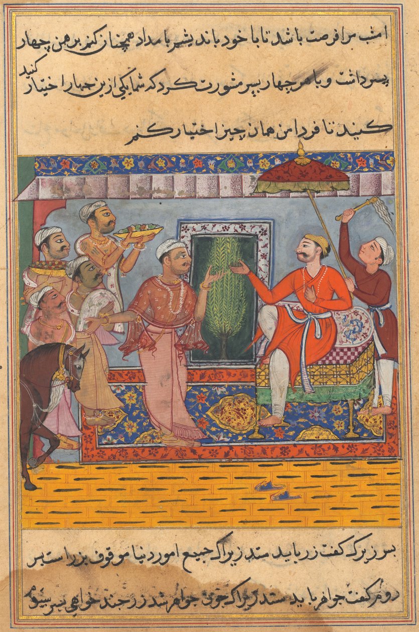 Oldal a Papagáj meséiből Tuti-nama: Tizenegyedik éjszaka: A Brahman, nem tud kiválasztani..., c. 1560. alkotó: Unbekannt