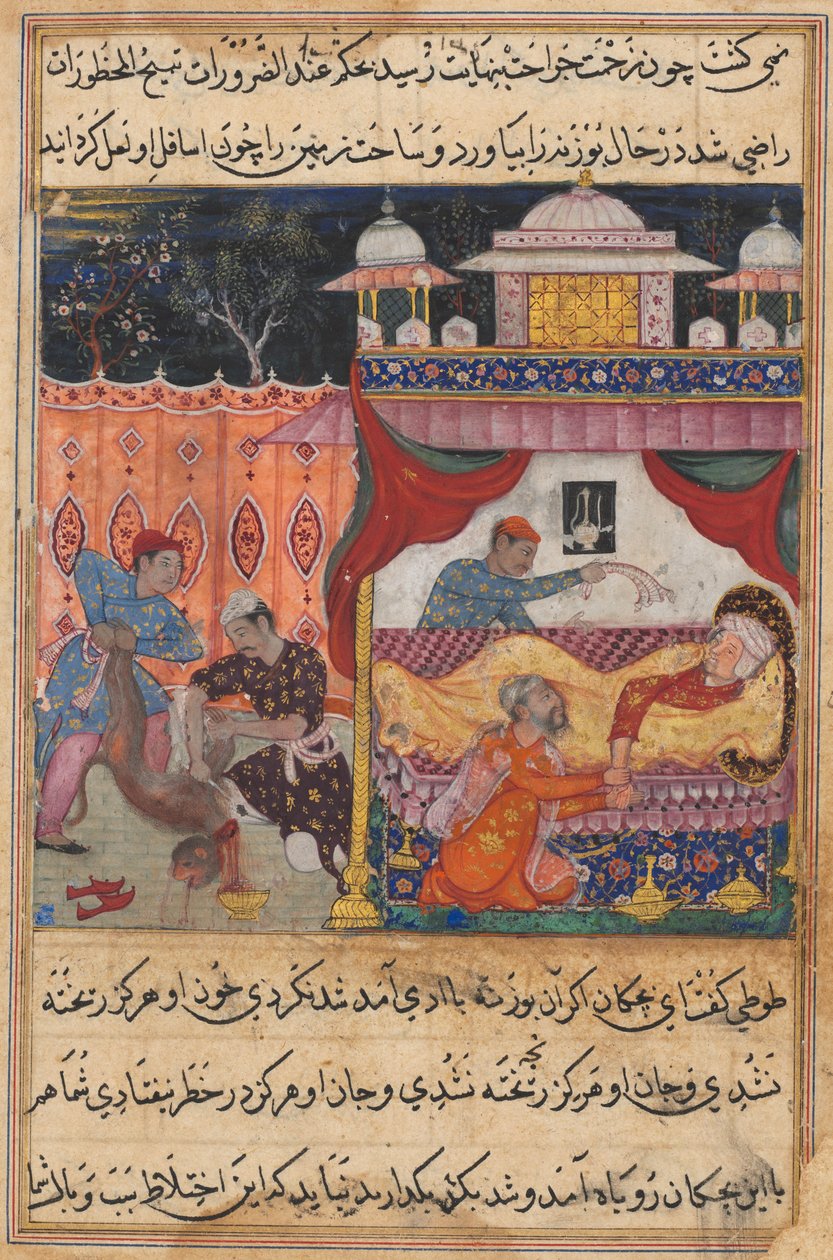 Oldal a Papagáj meséiből Tuti-nama: Ötödik éjszaka: A megölt majom, vére..., c. 1560. alkotó: Unbekannt