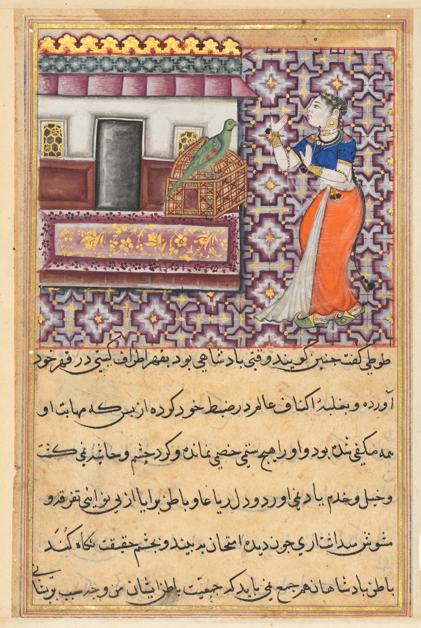 Oldal a Papagáj meséiből Tuti-nama: Ötvenedik éjszaka: A papagáj megszólítja Khujastát..., c. 1560. alkotó: Unbekannt