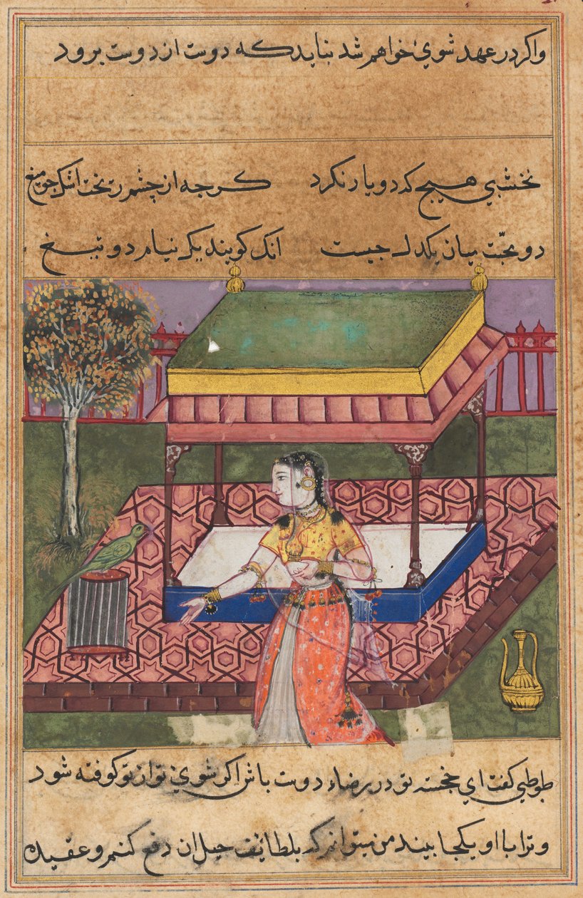 Oldal a Papagáj meséiből Tuti-nama: Negyvenedik éjszaka: A papagáj megszólítja Khujastát..., c. 1560. alkotó: Unbekannt