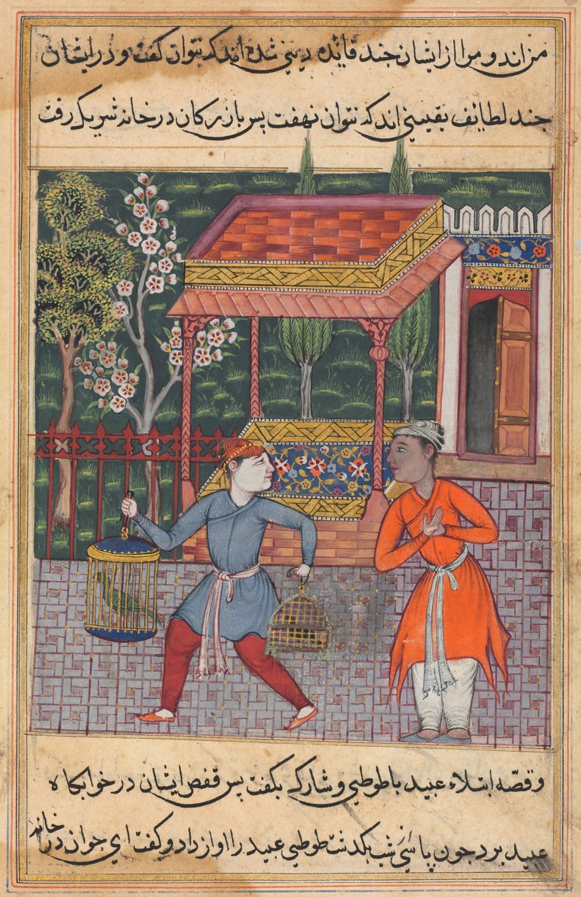 Oldal a Papagáj meséiből Tuti-nama: Negyvenkettedik éjszaka: Tirmiz kereskedője..., c. 1560. alkotó: Unbekannt