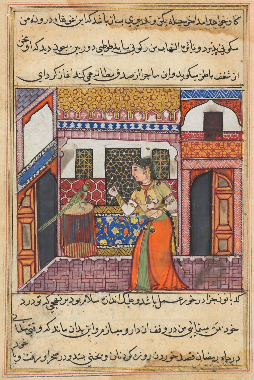 Oldal a Tales of a Parrot Tuti-nama: Negyvenharmadik éjszaka: A papagáj megszólítja Khujasta, c. 1560. alkotó: Unbekannt