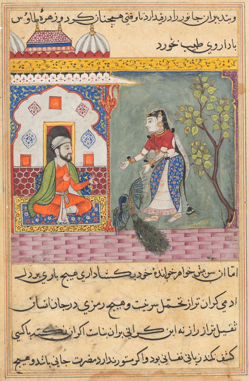 Oldal a Papagáj meséiből Tuti-nama: Tizenkilencedik éjszaka: A brahmanok felesége..., c. 1560. alkotó: Unbekannt