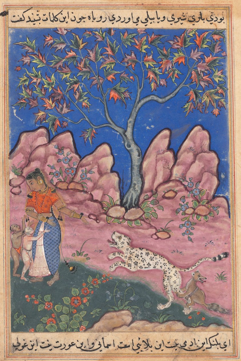 Oldal a Papagáj meséiből Tuti-nama: Harmincadik éjszaka: A nő beszélget..., c. 1560. alkotó: Unbekannt