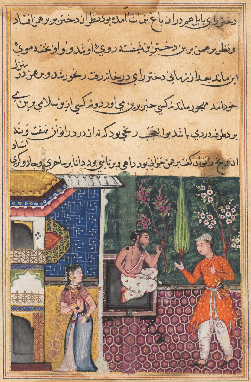 Oldal a Papagáj meséiből Tuti-nama: Harmincötödik éjszaka: A Brahman ad..., c. 1560. alkotó: Unbekannt