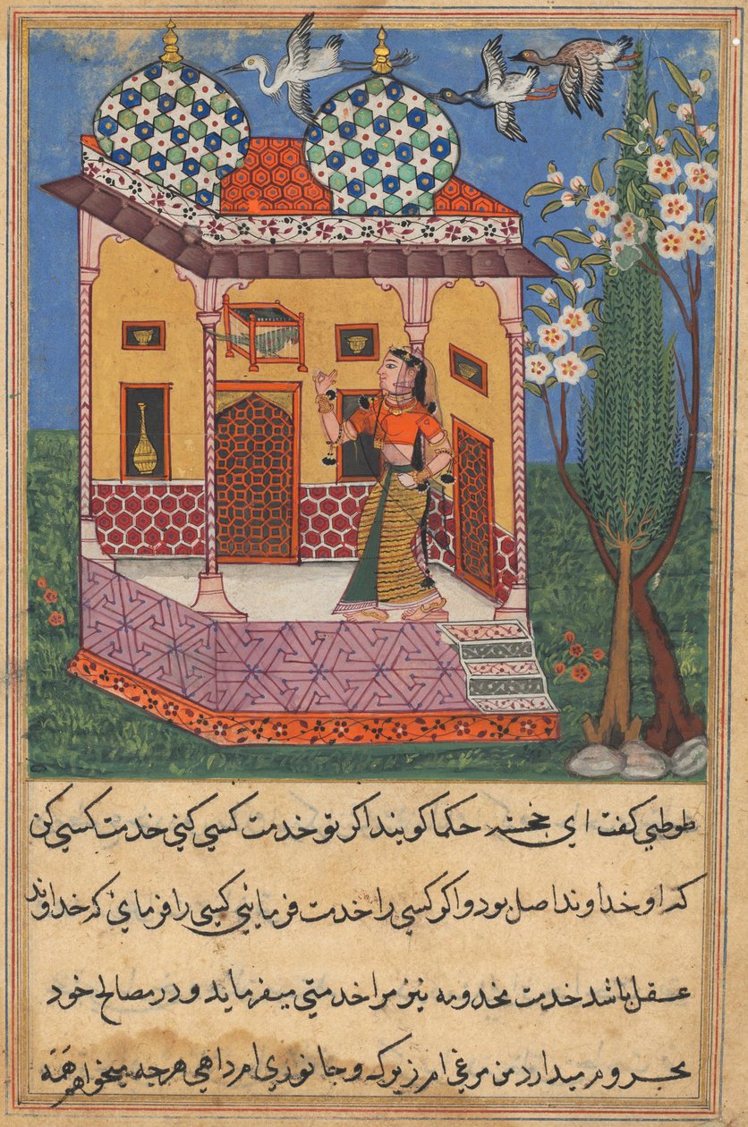 Oldal a Papagáj meséiből Tuti-nama: Huszonhatodik éjszaka: A papagáj megszólítja Khujasta..., c1560 alkotó: Unbekannt