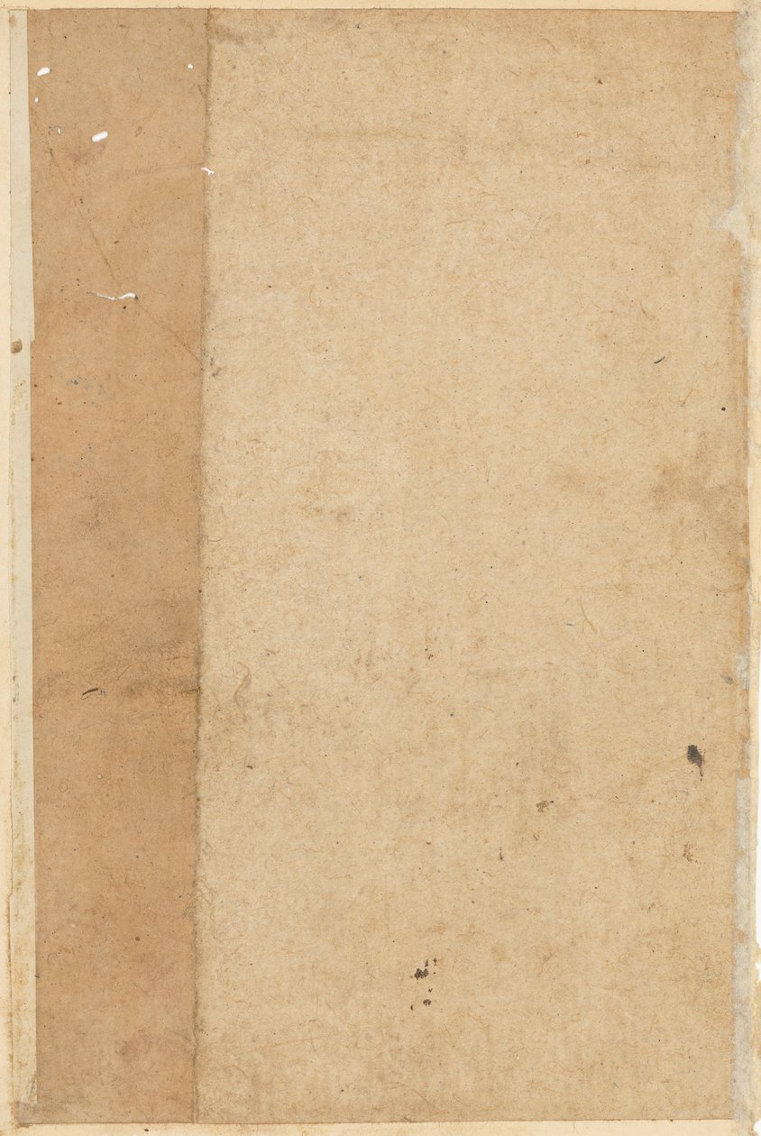 Oldal a Papagáj meséiből Tuti-nama: üres oldal, c. 1560. alkotó: Unbekannt