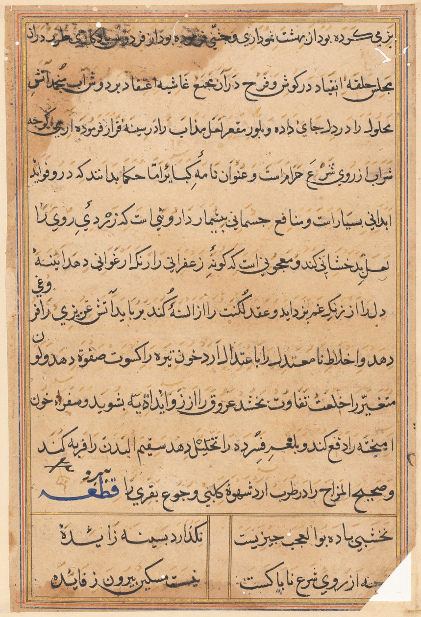 Oldal a Papagáj meséiből Tuti-nama: szövegoldal, c. 1560. alkotó: Unbekannt
