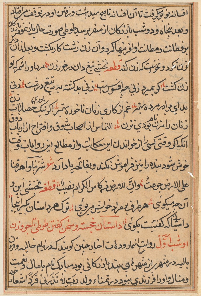 Oldal a Papagáj meséiből Tuti-nama: szövegoldal, c. 1560. alkotó: Unbekannt
