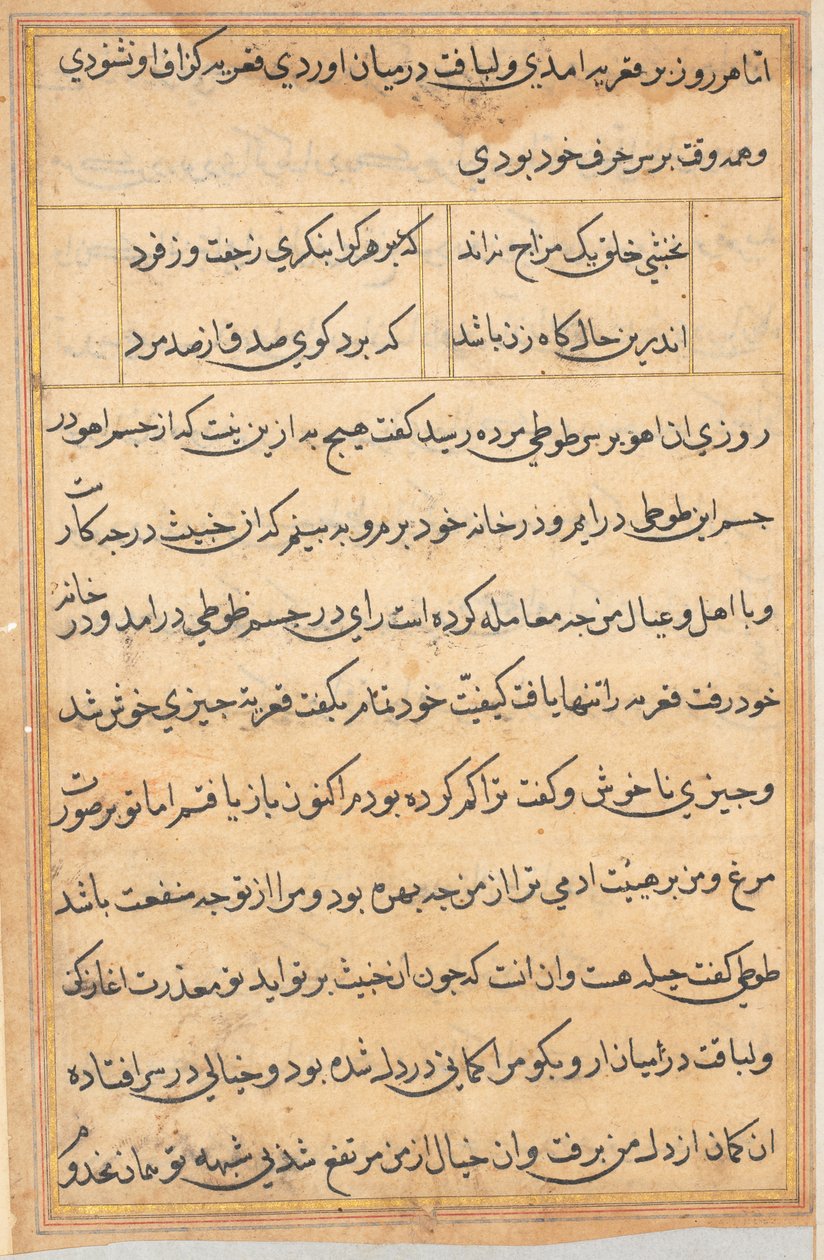 Oldal a Papagáj meséiből Tuti-nama: szövegoldal, c. 1560. alkotó: Unbekannt