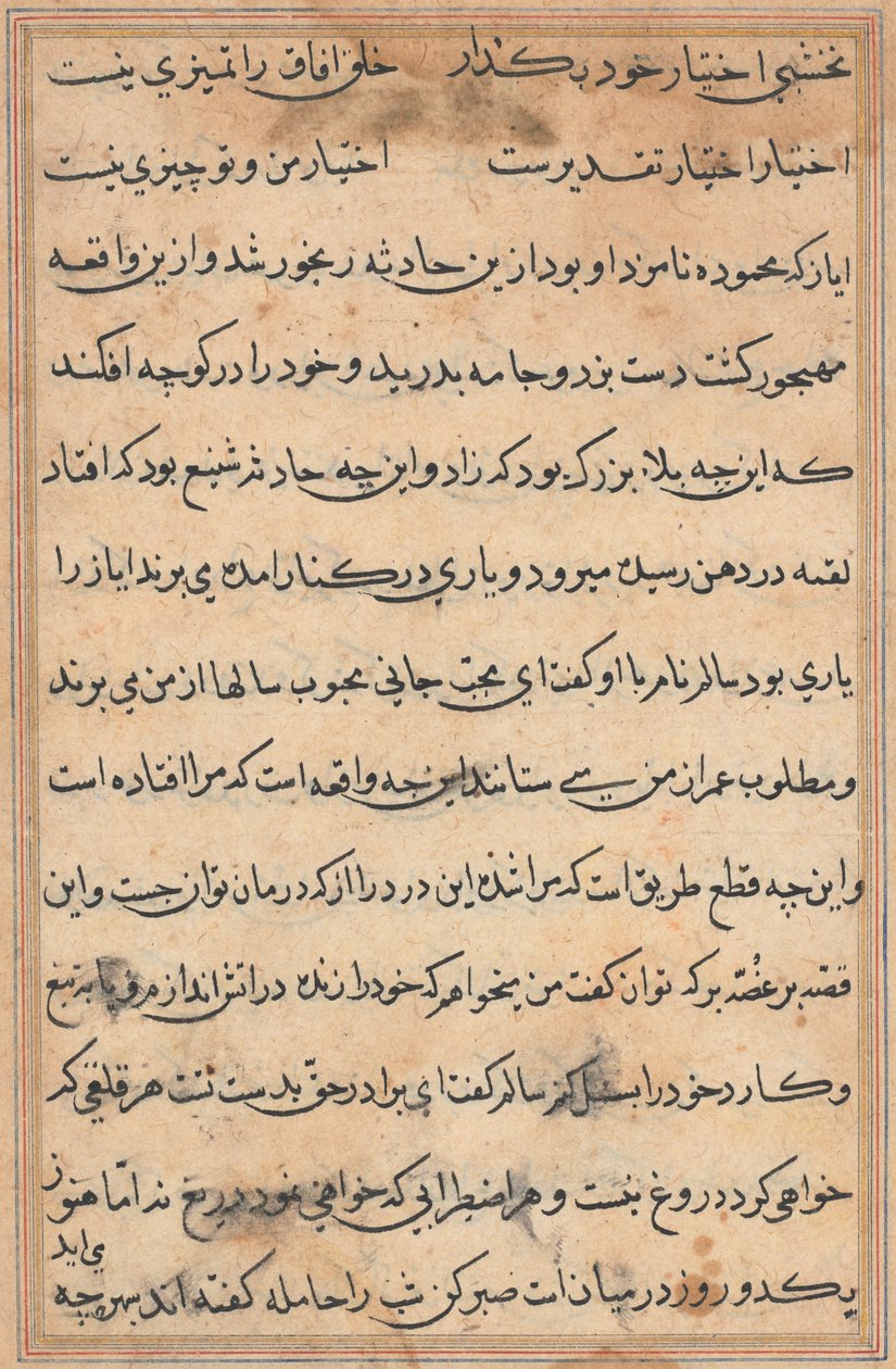 Oldal a Papagáj meséiből Tuti-nama: szövegoldal, c. 1560. alkotó: Unbekannt