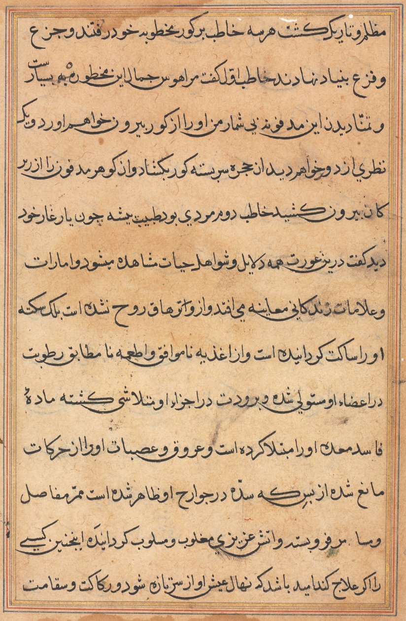 Oldal a Papagáj meséiből Tuti-nama: szövegoldal, c. 1560. alkotó: Unbekannt