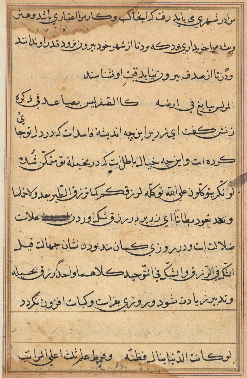 Oldal a Papagáj meséiből Tuti-nama: szövegoldal, c. 1560. alkotó: Unbekannt