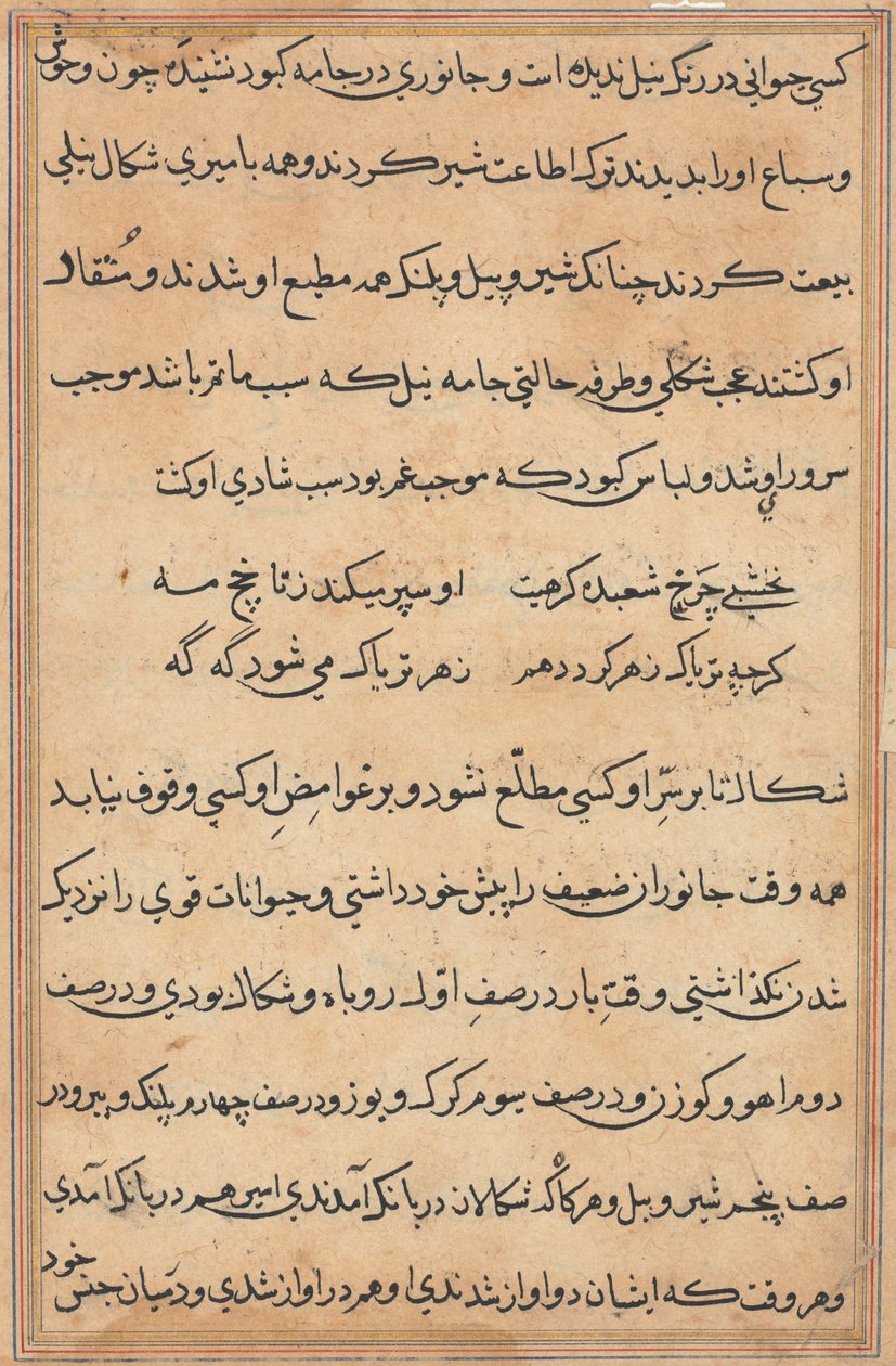 Oldal a Papagáj meséiből Tuti-nama: szövegoldal, c. 1560. alkotó: Unbekannt
