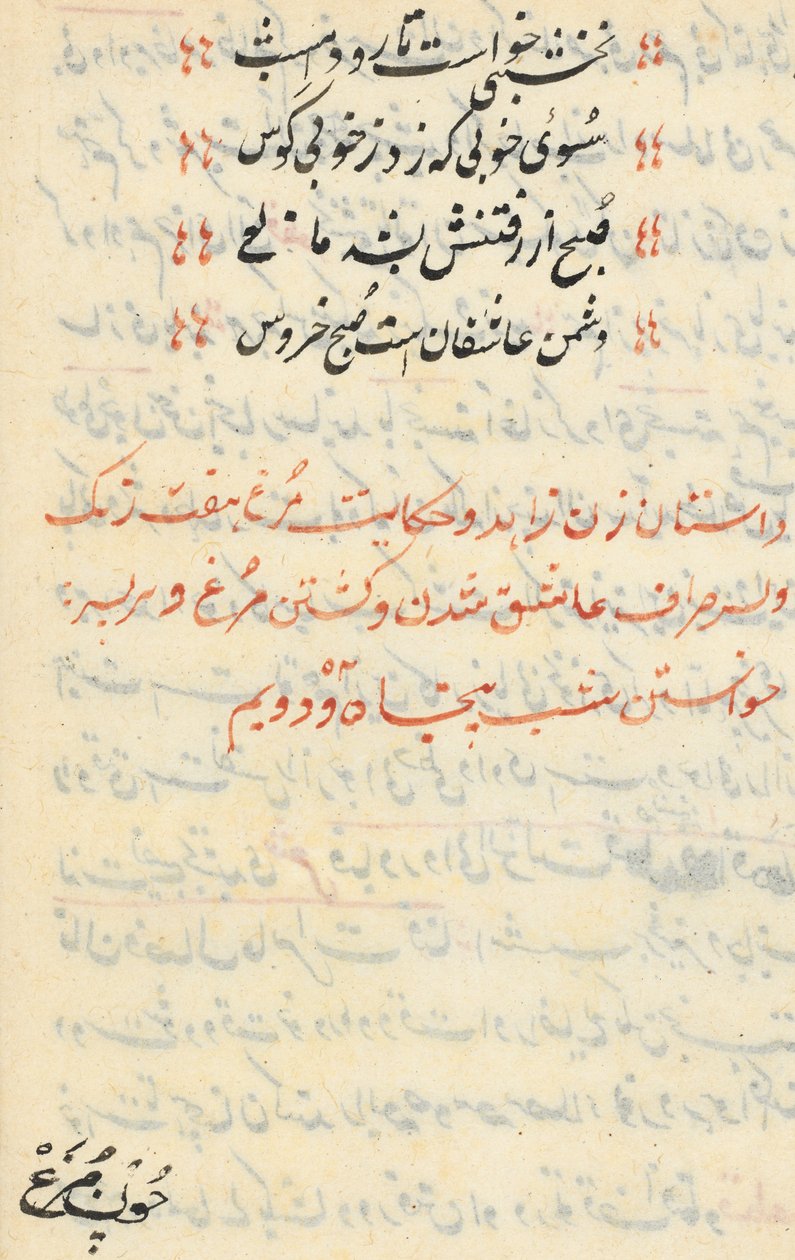 Oldal a Papagáj meséiből Tuti-nama: szövegoldal, c. 1560. alkotó: Unbekannt