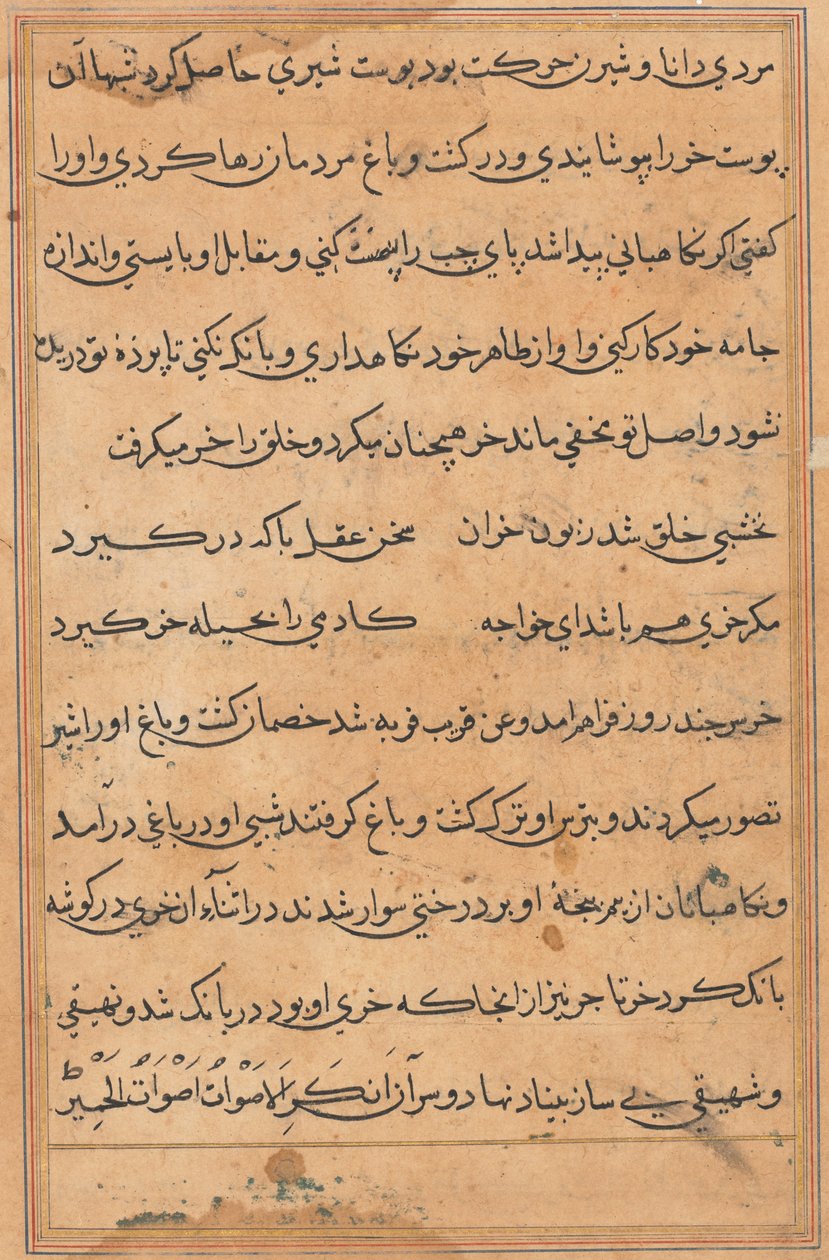 Oldal a Papagáj meséiből Tuti-nama: szövegoldal, c. 1560. alkotó: Unbekannt