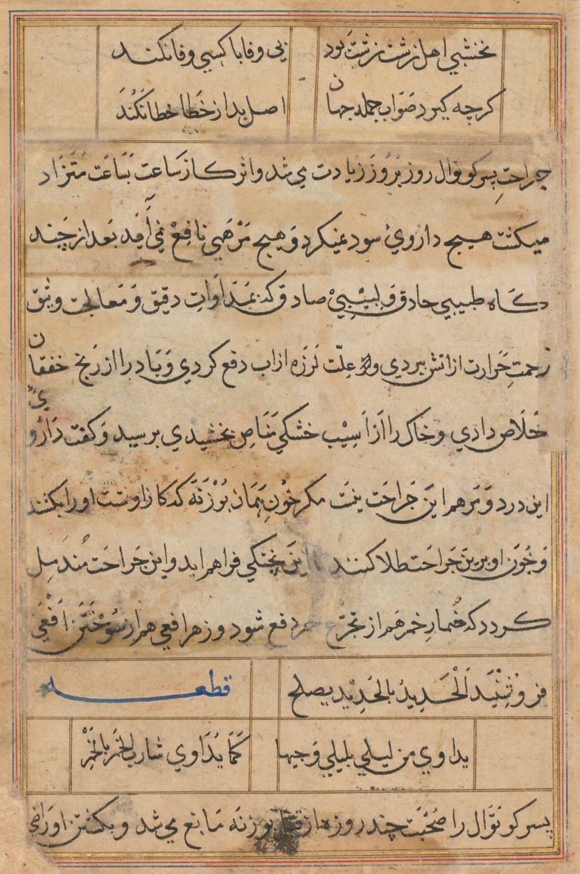 Oldal a Papagáj meséiből Tuti-nama: szövegoldal, c. 1560. alkotó: Unbekannt