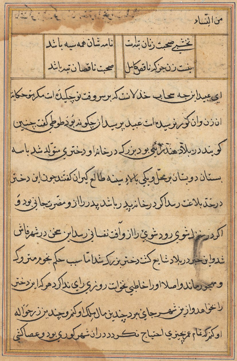 Oldal a Papagáj meséiből Tuti-nama: szövegoldal, c. 1560. alkotó: Unbekannt