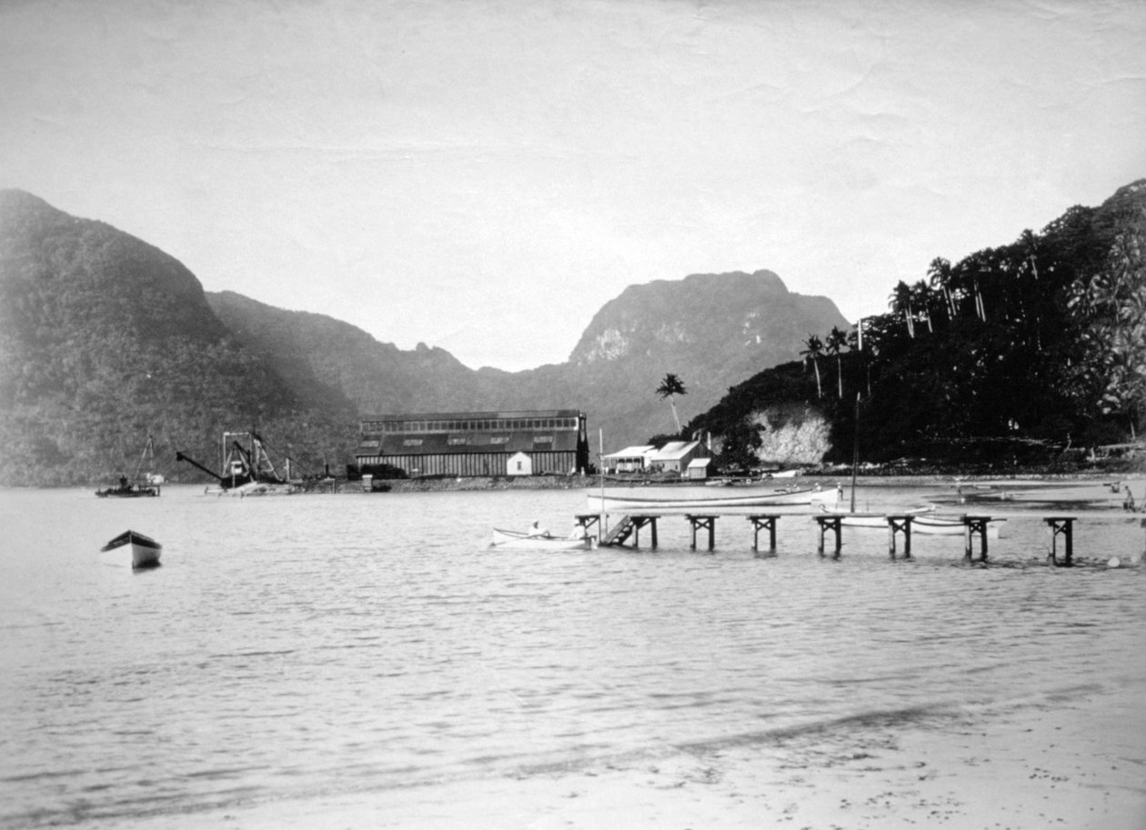 Pago Pago kikötője, Tutuila szigetén, Amerikai Szamoán, 1889 alkotó: Unbekannt