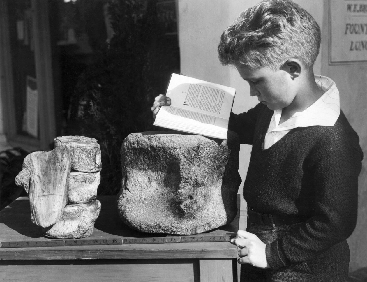 Palos Verdes, Kalifornia: 1927 körül Egy fiatal fiú régészetet tanul a közeli dombokon talált megkövesedett őskori csigolya felhasználásával. (f/w fotó) alkotó: Unbekannt